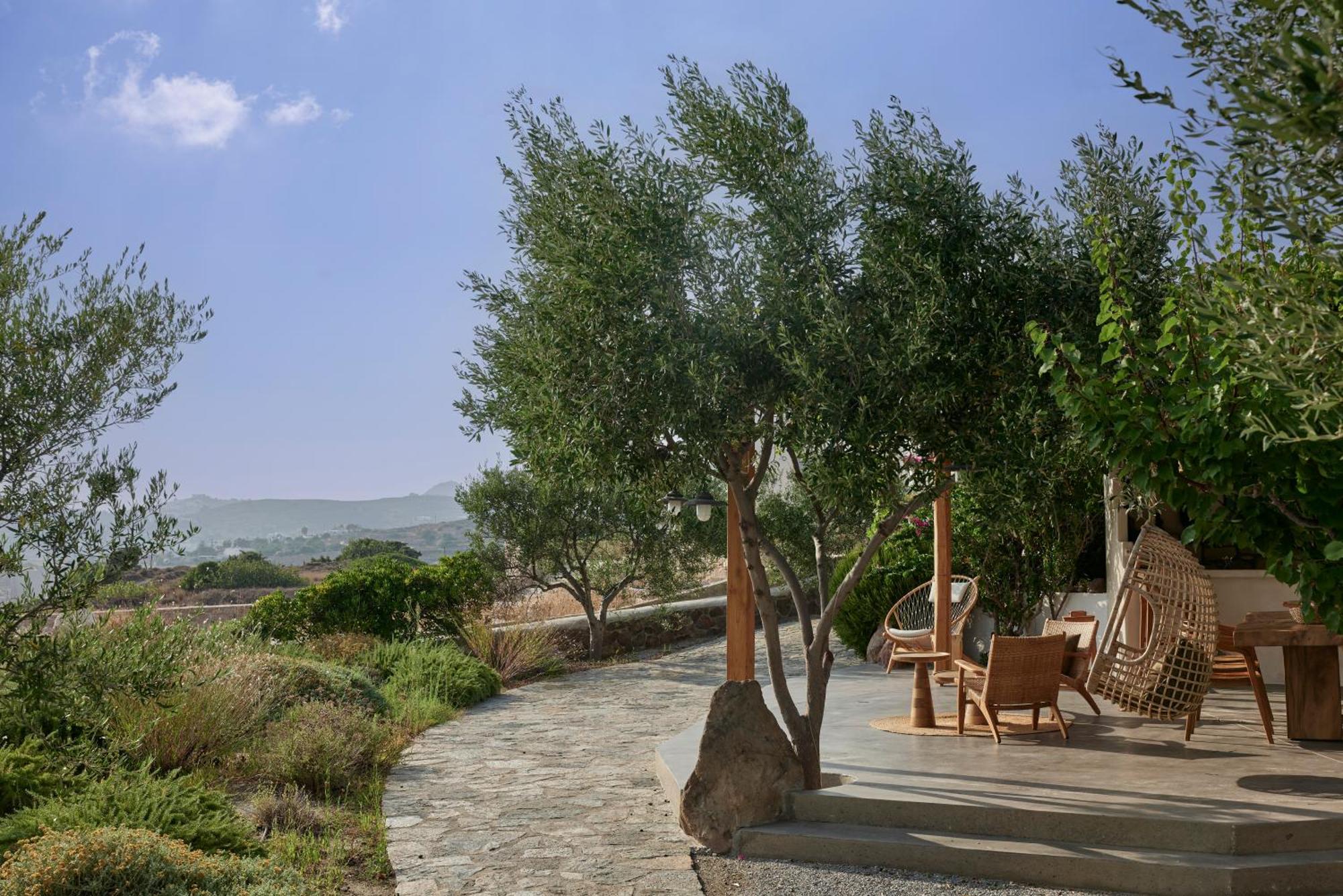 Iliana Olive Branch Apartment Adamantas  Bagian luar foto