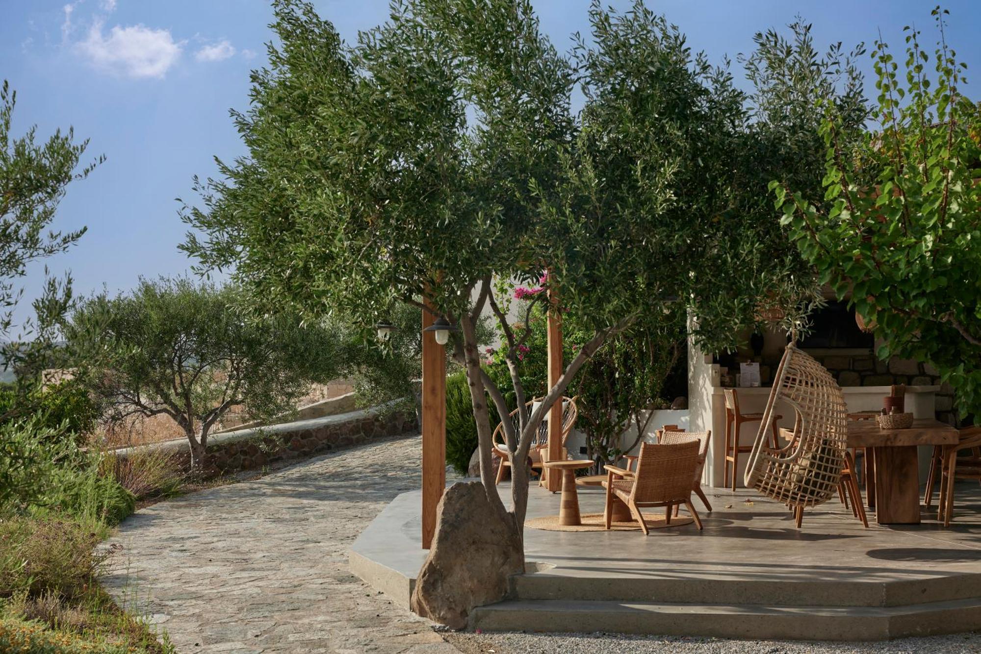 Iliana Olive Branch Apartment Adamantas  Bagian luar foto