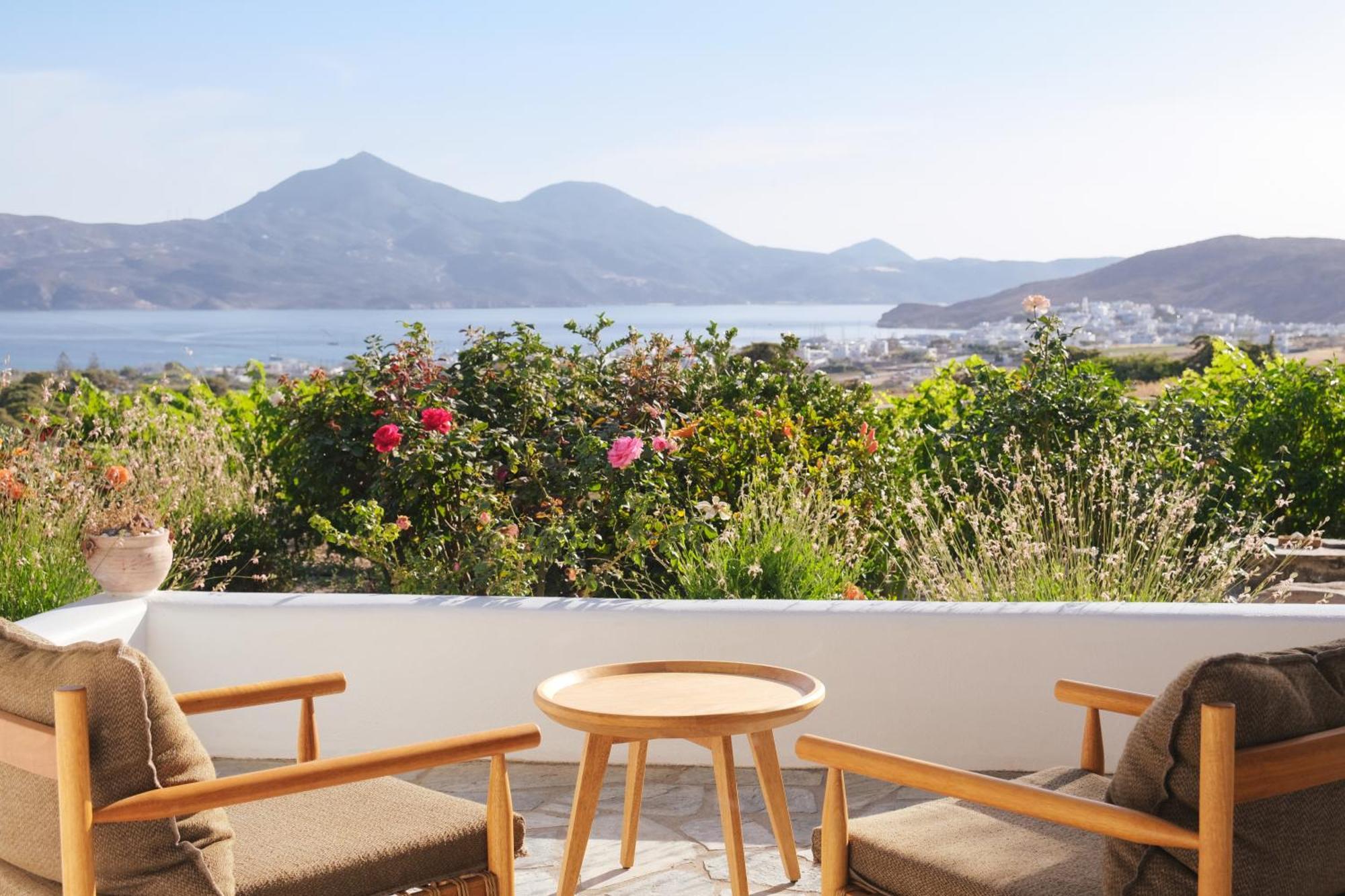Iliana Olive Branch Apartment Adamantas  Bagian luar foto